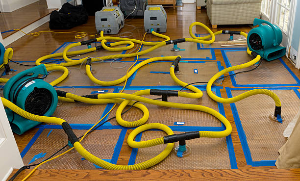 Professional Water Extraction technician working in Westerville, OH